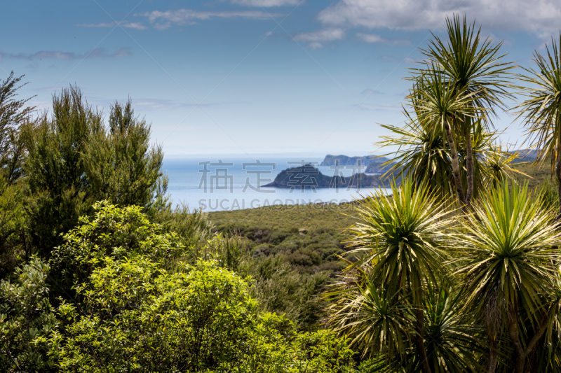 派希亚镇,bay of islands,地形,新西兰,russell,乌鲁普卡普卡岛,怀唐伊,northland region,水,天空