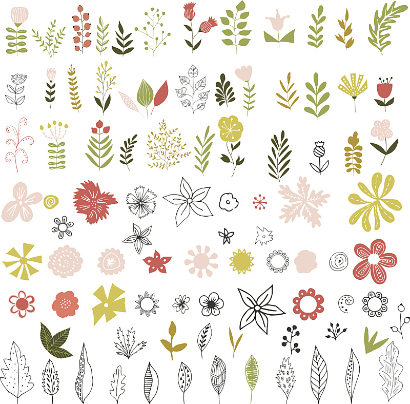 叶子,草本,花蕾,可爱的,乱画,华丽的,花纹,婴儿,枝,式样