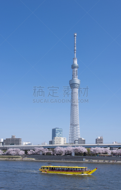 东京天空树,樱桃树,图像,垂直画幅,天空,美,留白,客船,樱花,无人