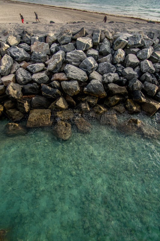 码头,迈阿密,南部海滩,垂直画幅,热带鸟,水,天空,沙子,无人,鸟类