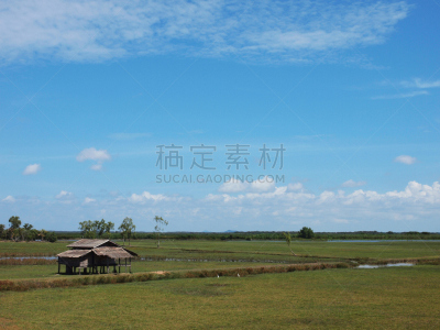 沼泽,水,天空,水平画幅,无人,运河,户外,湖,草
