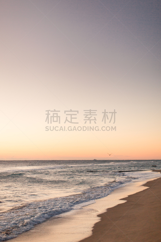 正面视角,棕榈沙滩镇,冷,垂直画幅,天空,风,沙子,光,棕榈树,明亮
