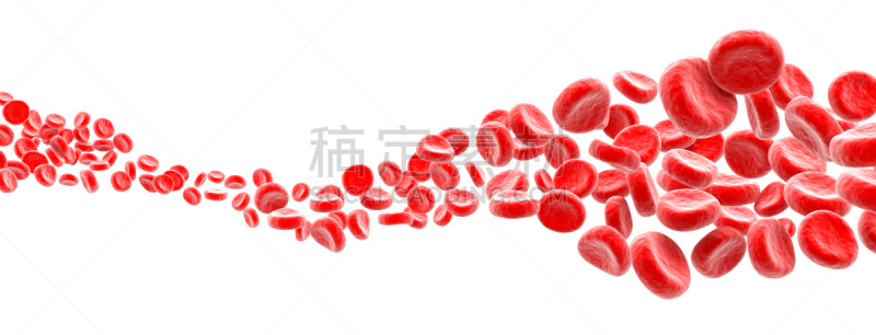 血细胞,波形,白色背景,显微镜,替代疗法,辅导讲座,水平画幅,绘画插图,科学实验