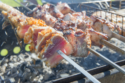 肉,煤,烤的,肥肉脂肪,熏香肠,t骨牛排,烤牛肉,格子烤肉,煎鸡肉,烤肉架