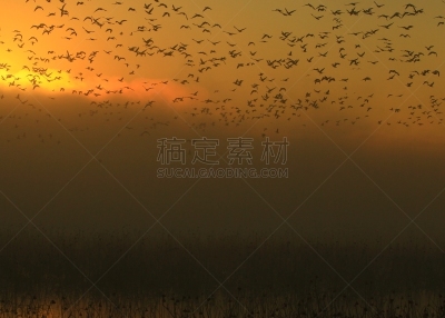 宫城县,izunuma,黎明,地形,户外,季节,秋天,冬天,著名自然景观,自然美