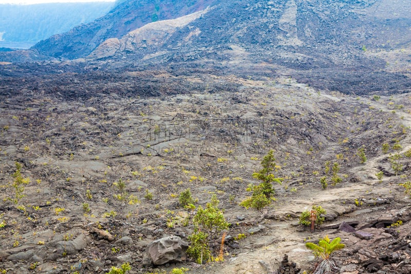 火山口,室内地面,桃金娘花树,几劳亚活火山,硫磺,在底端,夏威夷大岛,风管,火山喷口,石头