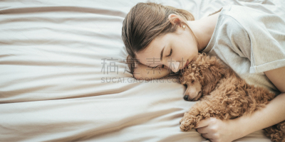 狗,床,贵宾犬,青年女人,业主,水平画幅,早晨,仅成年人,疲劳的,友谊