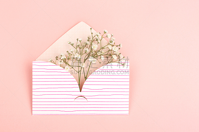 信封,粉色背景,水香花菜,周年纪念,请柬,事件,贺卡,信函,浪漫,女人