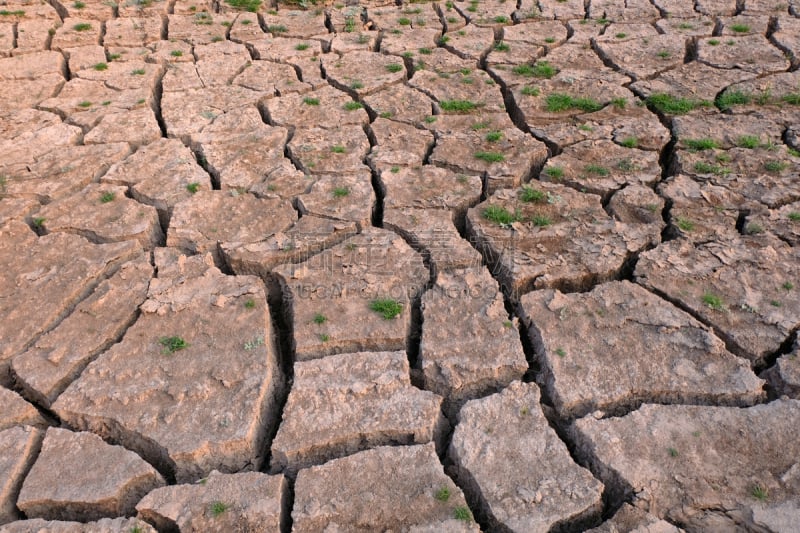 泥土,破碎的,干的,陆地,特写,干热气候,气候,热,环境,泰国