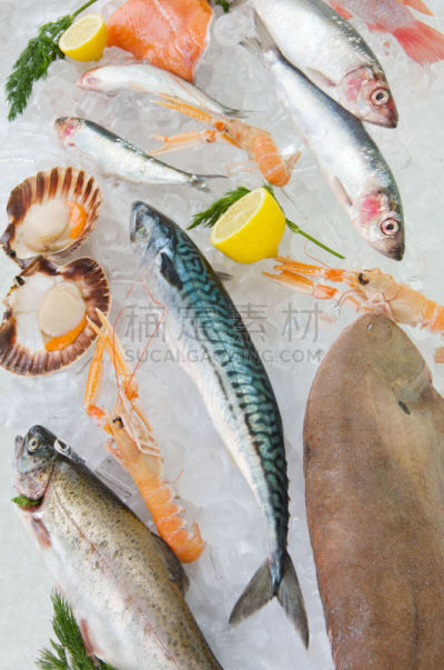 动物,三个物体,鱼肉,欧米茄,碎冰,食品,鱼类,三文鱼,冰,罗非鱼
