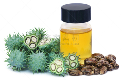 干的,蓖麻油,青豆,自然,印度草医学,水平画幅,卡斯托尔,白色背景,健康保健,生物学