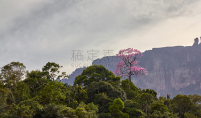 高,热带雨林,南美,水,天空,美,水平画幅,沙子,瀑布,无人
