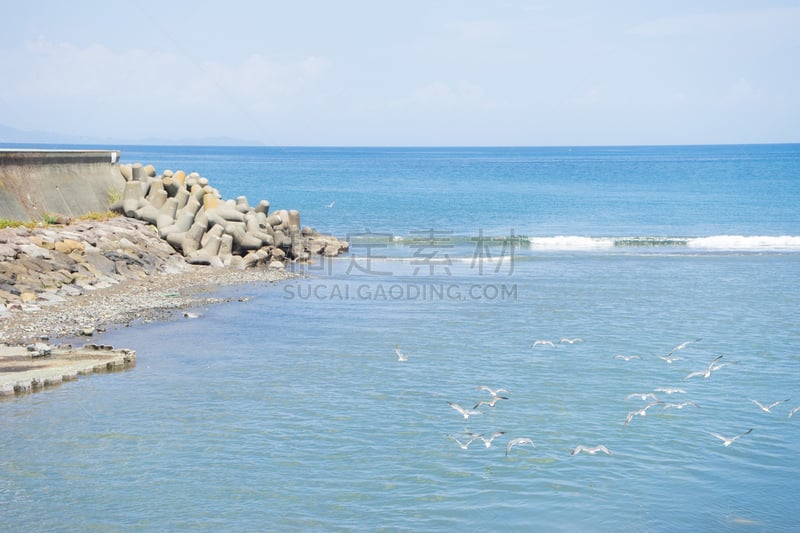 河口,伊东,相模湾,静冈县,海鸥,水平画幅,秋天,无人,蓝色,日本