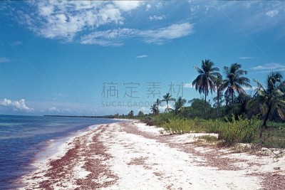 海滩,垃圾,塑胶,墨西哥,前面,干净,水,整形手术,休闲活动