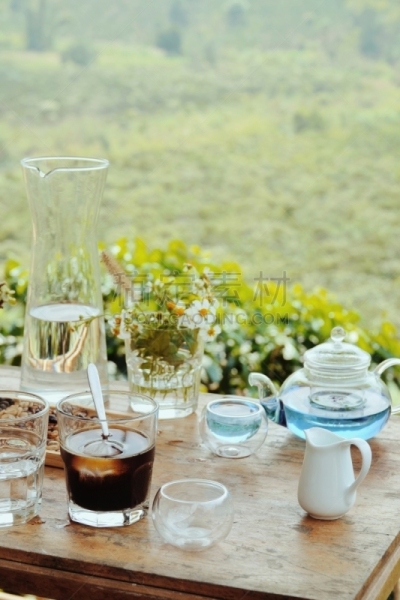 茶,风景,绿色,时间,饮料,越南,茶几,大叻,景观设计,热带气候