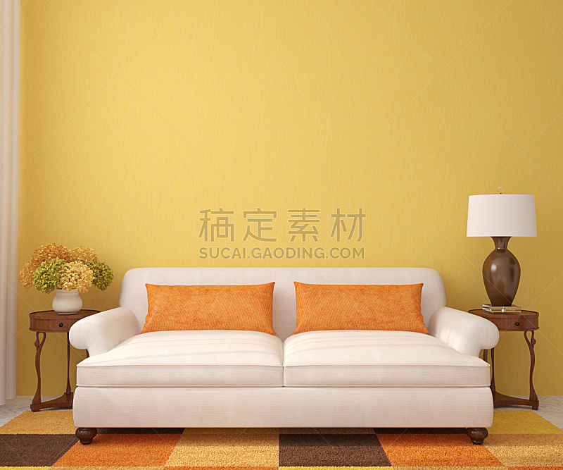 沙发,白色,起居室,极简构图,热,小毯子,正面视角,褐色,座位,水平画幅