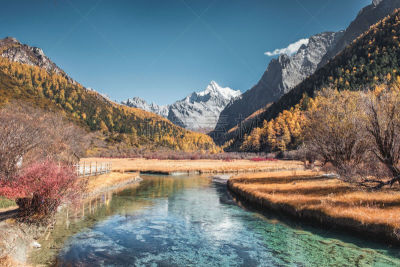 秋天,山,松木,森林,最后,香格里拉,旅途,四臂观音,云景,云