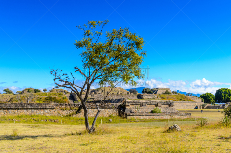 前哥伦布时期,考古学,都市风景,巨大的,圣克鲁斯-特内里费市,瓦哈卡州,地球形,蒙特牌