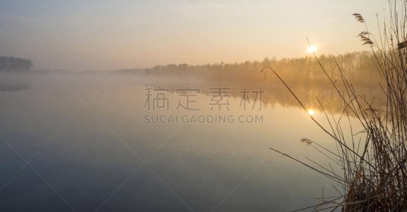 湖,冬天,黎明,雾,海滩,水,天空,水平画幅,无人,湿