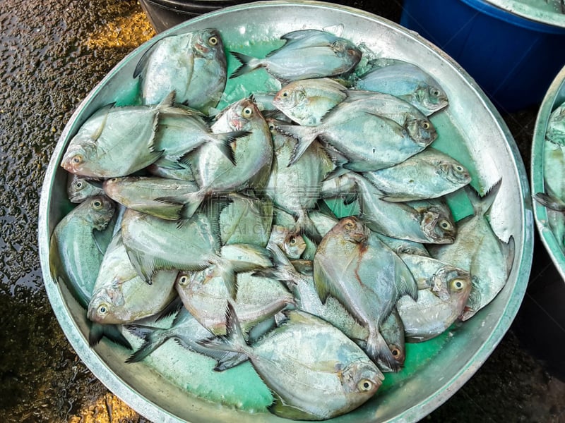 生食,海产,市场,鱼肉,剑尾鱼,水平画幅,超级市场,膳食,冰,特写