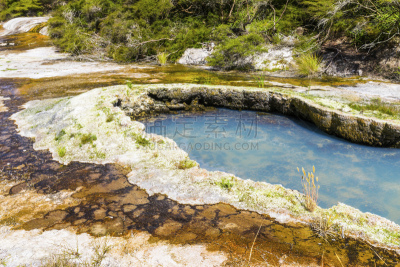 waimangu thermal park,国内著名景点,热,湖,植物,罗托鲁阿,矿物质,岩石,户外,硫磺