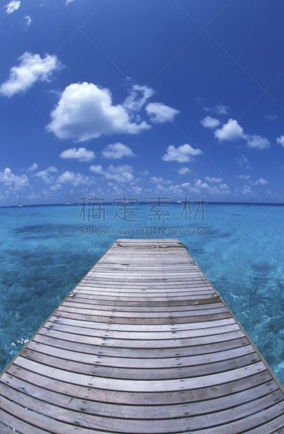 鸡尾酒,垂直画幅,天空,休闲活动,异国情调,想法,海滩,潜水,放松