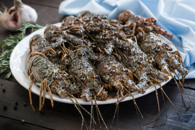 大螯虾,螃蟹,螯虾,龙虾,选择对焦,水平画幅,生食,海产,特写,大洋洲
