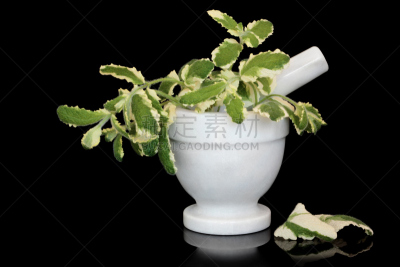 叶子,菠萝薄荷,饮食,水平画幅,无人,研磨器,背景分离,薄荷叶,大理石,草药