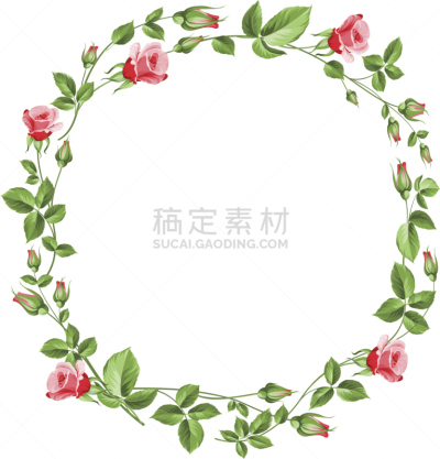 玫瑰,白色,花环,分离着色,绘画插图,贺卡,边框,艺术,古典式,夏天
