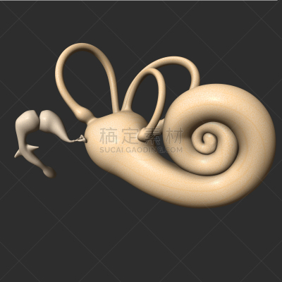 耳鼓,神经系统,噪声,绘画插图,符号,运河,科学,计算机制图,计算机图形学,生物学