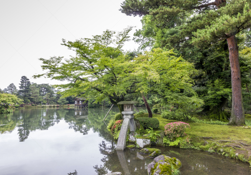 石灯笼,星和园,岩石,苔藓,巨大的,神社,金泽,日本之神道教,盆景,京都府