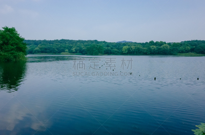 中国,水,西湖,杭州,山,宁静,居住区,亚洲,自然,乡村