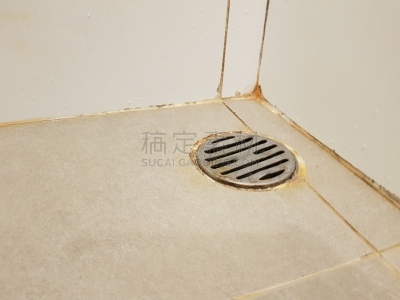 洞,瓷砖,出料孔,金属,浴室,排水口,污水,地板,泰国,水灾
