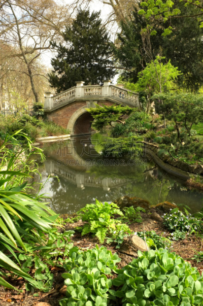 蒙梭公园,池塘,桥,自然美,植物学,小的,华丽的,蒙索公园,池塘生物,第八郡
