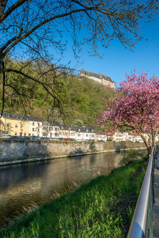 菲安登,卢森堡公国,城堡,山,顶部,中世纪时代,垂直画幅,建筑,无人,宫殿