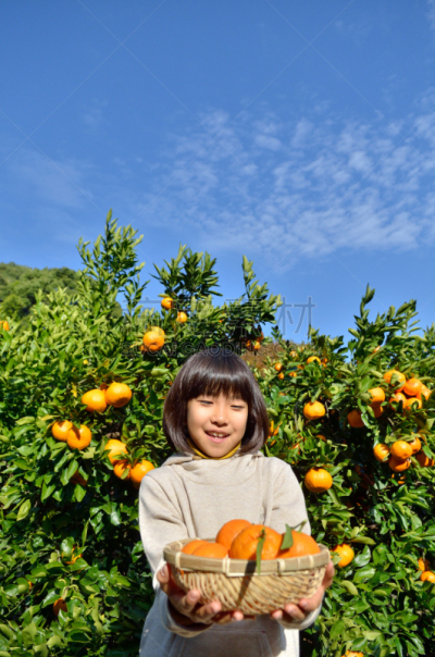橙子,日本人,女孩,垂直画幅,留白,幸福,仅日本人,儿童,东方人,亚洲人