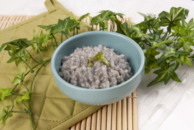 食品,新生儿,餐具,饮食,早餐,水平画幅,素食,膳食,婴儿,粥