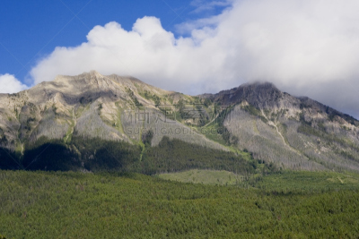 风景,白天鹅湖省立公园,天空,公园,水平画幅,无人,在边上,夏天,户外,云杉