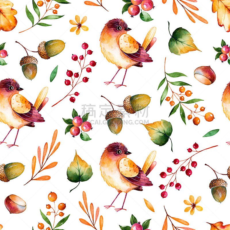 四方连续纹样,枝,栗子,叶子,秋天,浆果,橡树果,绘画插图,鸟类,计算机制图