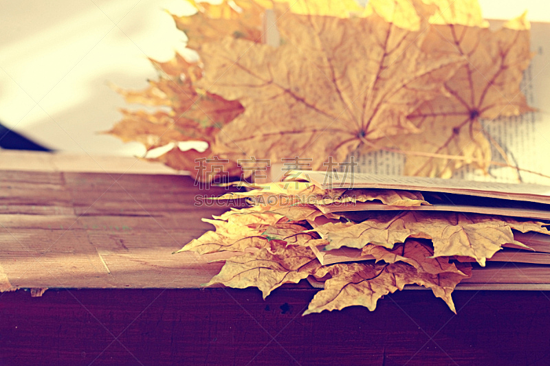 秋天,书页,概念,黄色,书,叶子,概念和主题,自然,水平画幅,文学