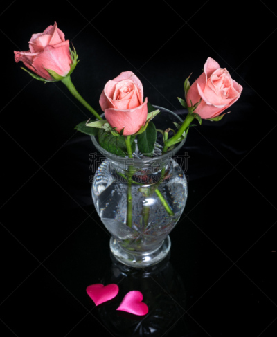 花瓶,动物心脏,粉色,两个物体,黑色背景,玻璃,玫瑰,垂直画幅,美,无人