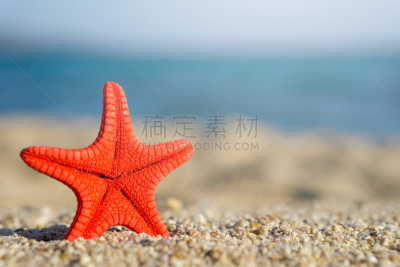 沙子,海洋,红海星,蓝色,海滩,钉住,背景,热带气候,海星,贝壳