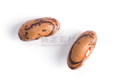 菜豆,红花菜豆,脉诊,水平画幅,小的,无人,有机食品,生食,健康保健,豆科植物