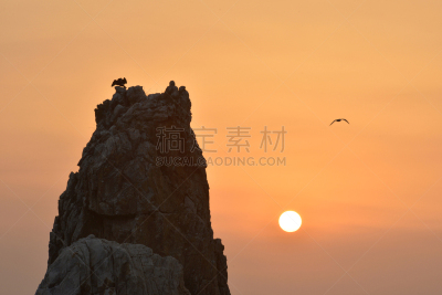 黎明,岩石区,霍普,天空,褐色,暴风雨,水平画幅,无人,鸟类,早晨