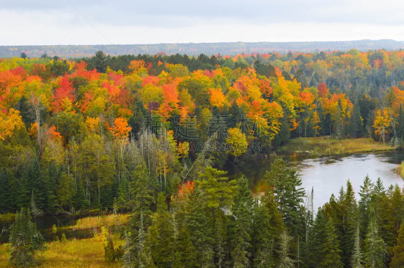 river ausable,秋天,河岸,高大的,自然,褐色,水平画幅,皮船,无人,蓝色