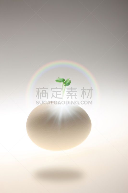 蛋,双叶区,破碎的,自然,垂直画幅,绿色,鸡蛋,无人,植物,新生活