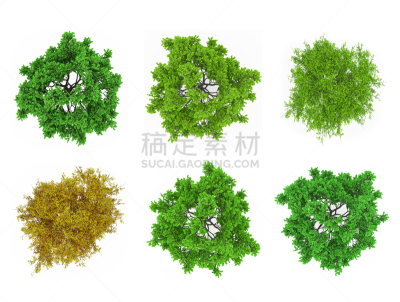 树梢,分离着色,正上方视角,水平画幅,枝繁叶茂,无人,夏天,计算机制图,计算机图形学,部分