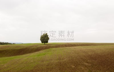 托斯卡纳区,自然,天空,高原,草地,水平画幅,绿色,地形,piana,无人
