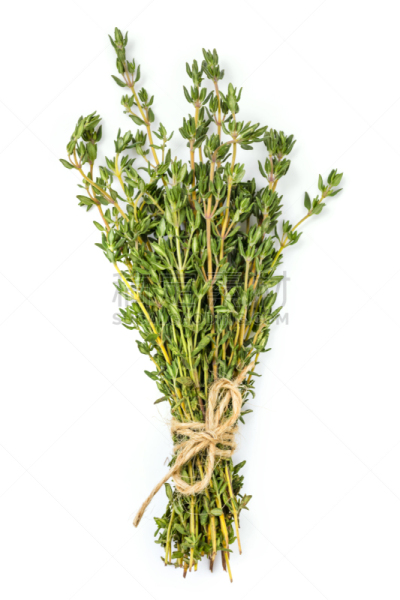 百里香,分离着色,白色,bouquet garni,干燥食品,草本,线绳,正上方视角,垂直画幅,绿色