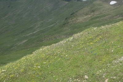 山,布雷根茨,自然,水平画幅,绿色,地形,无人,欧洲,户外,植物